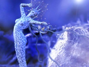 ������ ����������